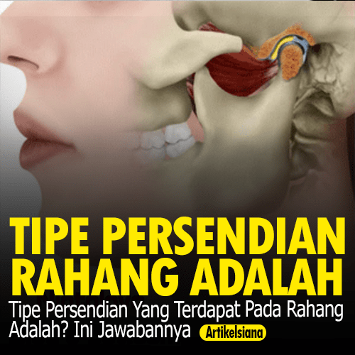 Detail Persendian Seperti Pada Gambar Merupakan Sendi Nomer 38