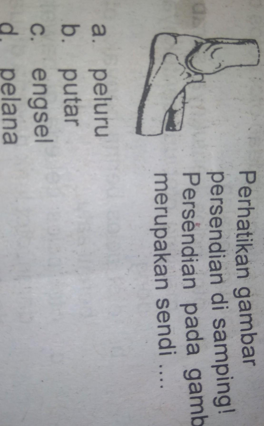 Detail Persendian Seperti Pada Gambar Merupakan Sendi Nomer 7