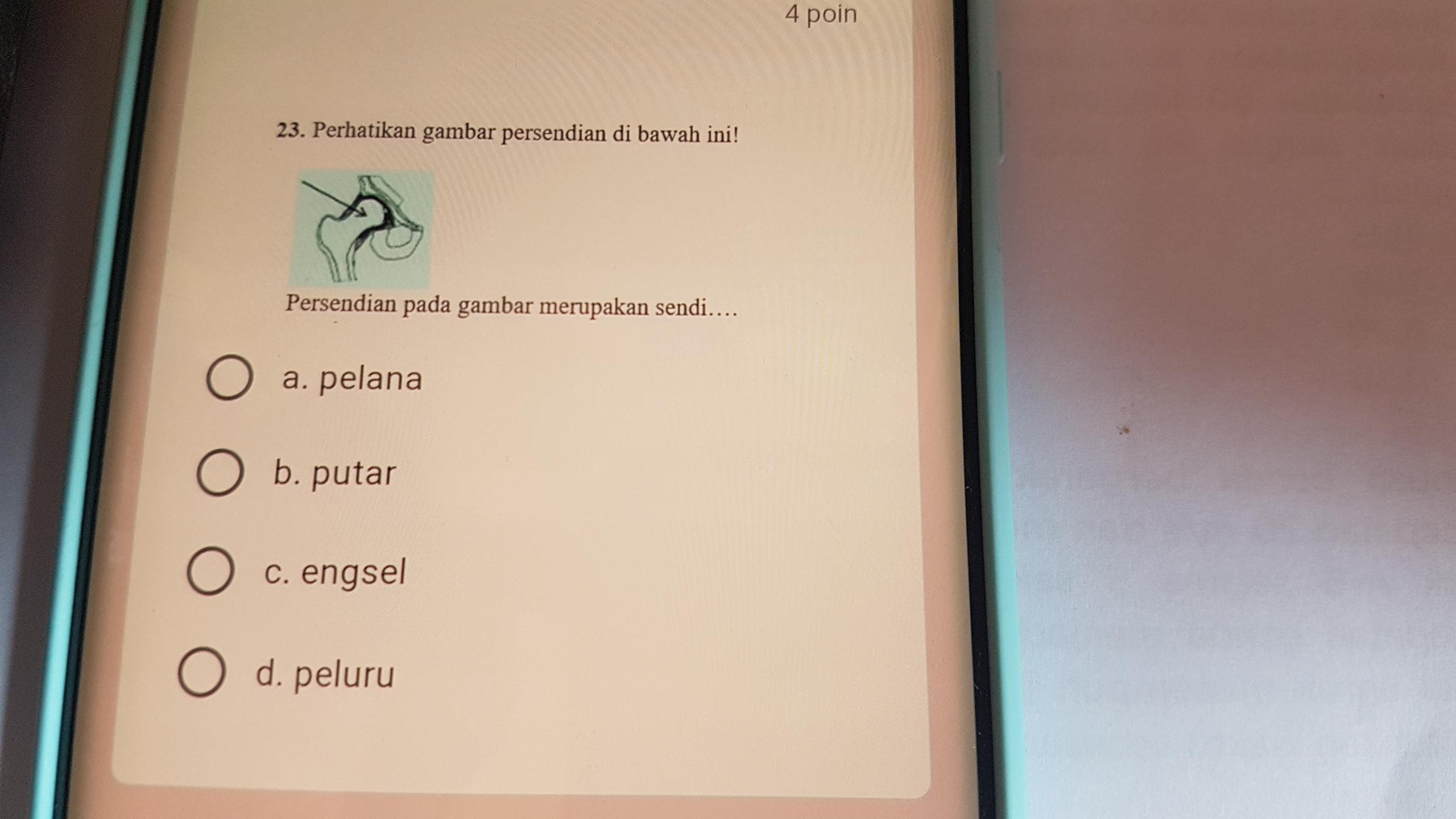 Detail Persendian Seperti Pada Gambar Merupakan Sendi Nomer 8