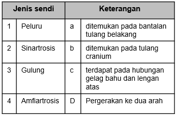 Detail Persendian Yang Ditunjukkan Pada Gambar Akan Membentuk Nomer 24