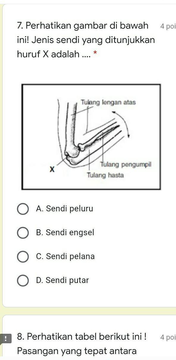 Detail Persendian Yang Ditunjukkan Pada Gambar Akan Membentuk Nomer 6