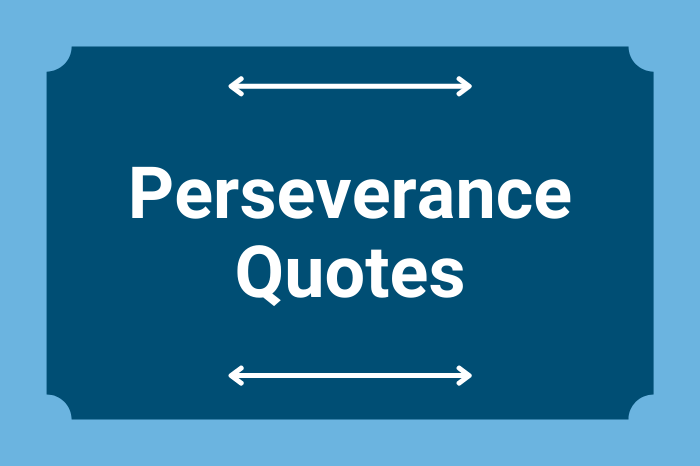 Detail Perseverance In Love Quotes Nomer 52
