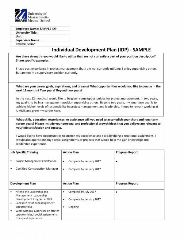 Detail Personal Development Plan Template Free Nomer 47