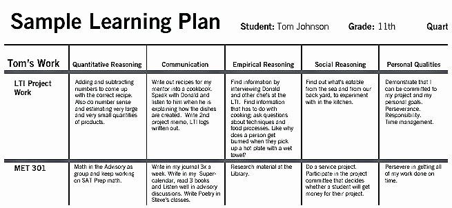 Detail Personal Learning Plan Template Nomer 21