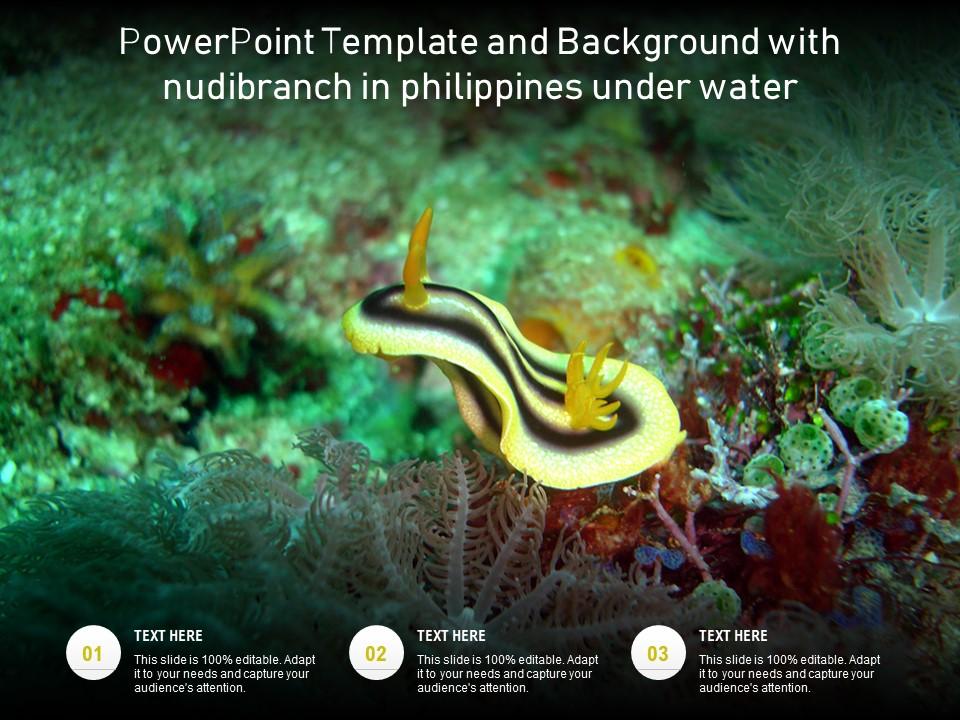 Detail Philippines Powerpoint Template Nomer 52