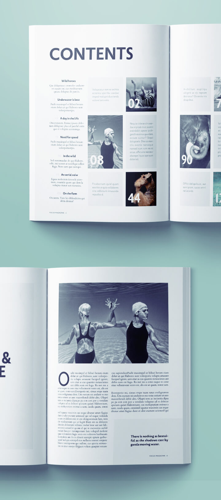 Detail Photography Magazine Template Free Download Nomer 3