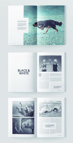 Detail Photography Magazine Template Free Download Nomer 8