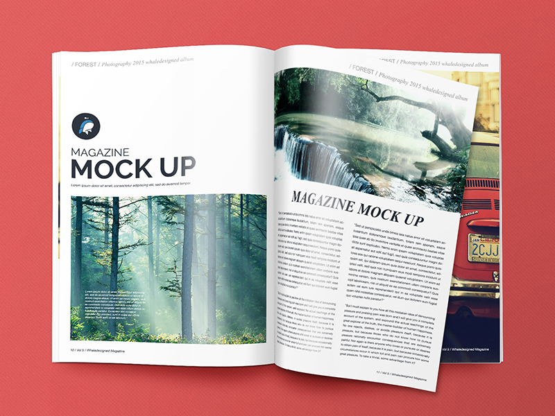 Detail Photography Magazine Template Free Download Nomer 10