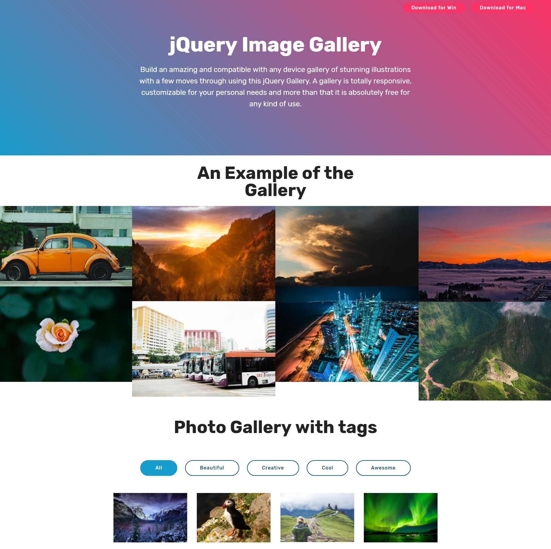 Detail Php Gallery Template Nomer 17