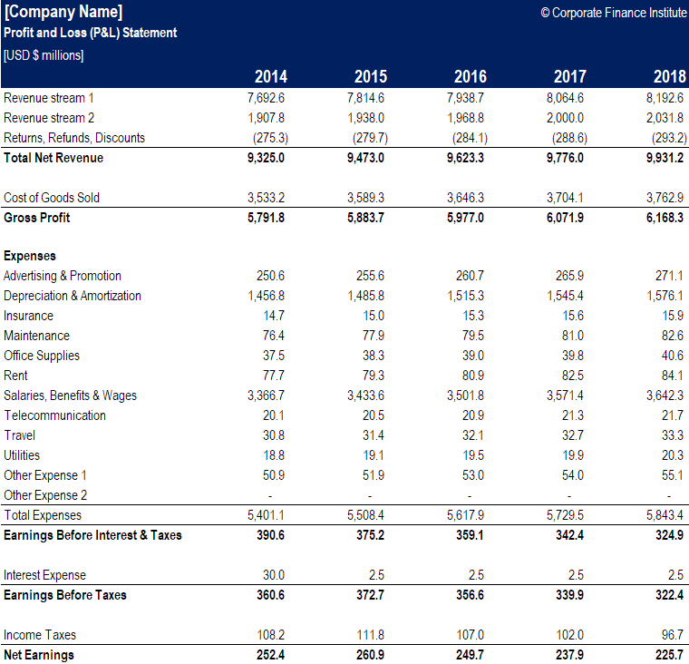 Detail Pl Balance Sheet Template Nomer 9