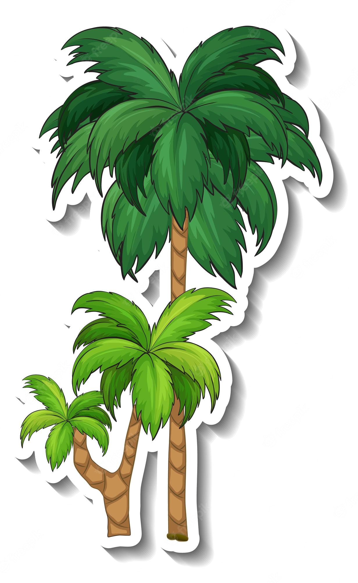 Detail Pohon Kelapa Cartoon Nomer 18