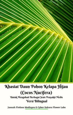 Detail Pohon Kelapa Hijau Nomer 20