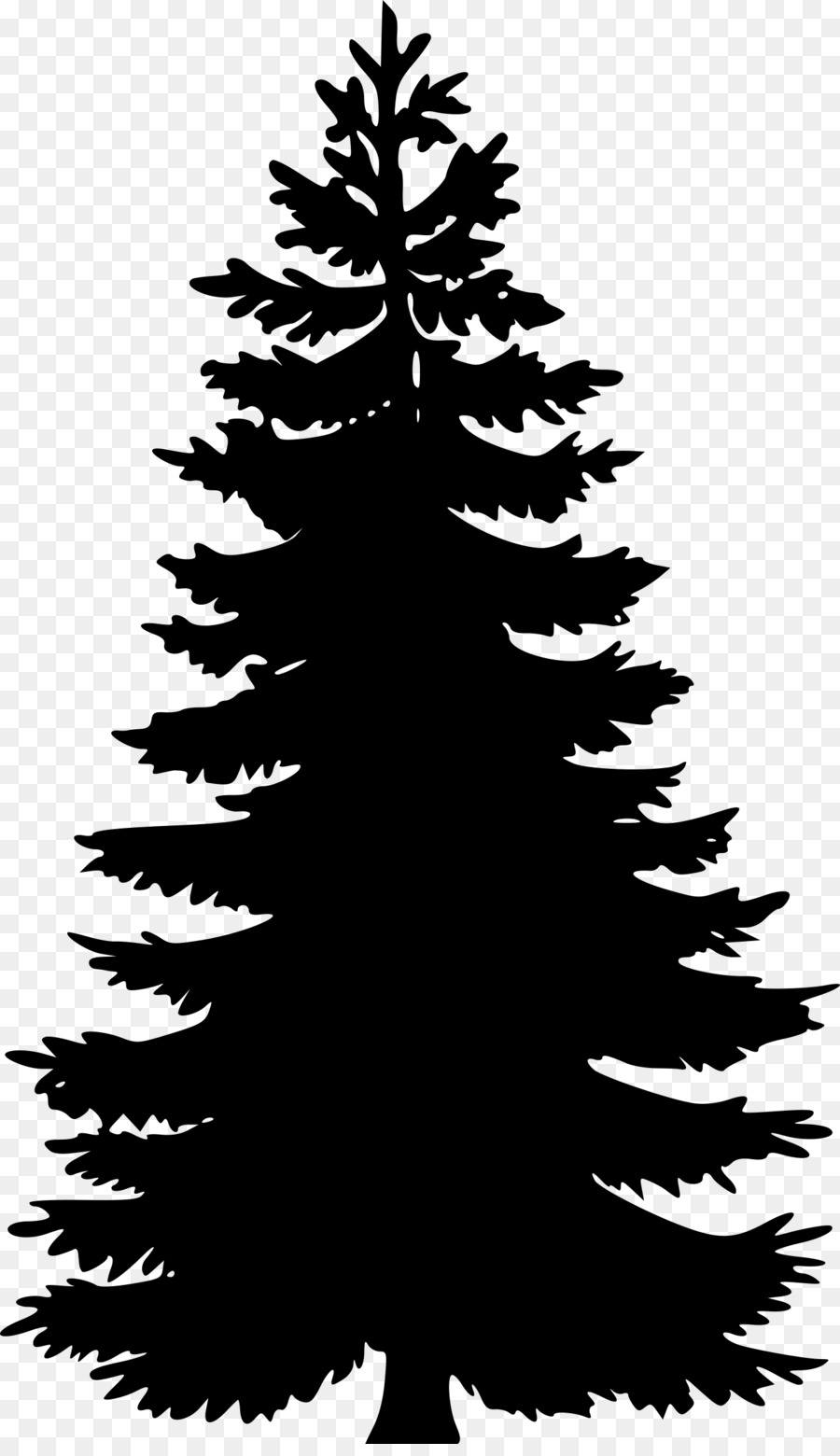 Detail Pohon Pinus Vektor Nomer 4