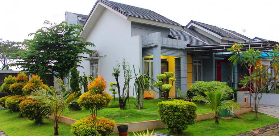 Detail Pohon Rindang Untuk Rumah Minimalis Nomer 40