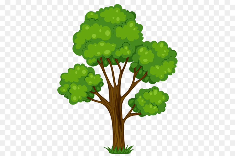 Detail Pohon Vektor Png Nomer 5
