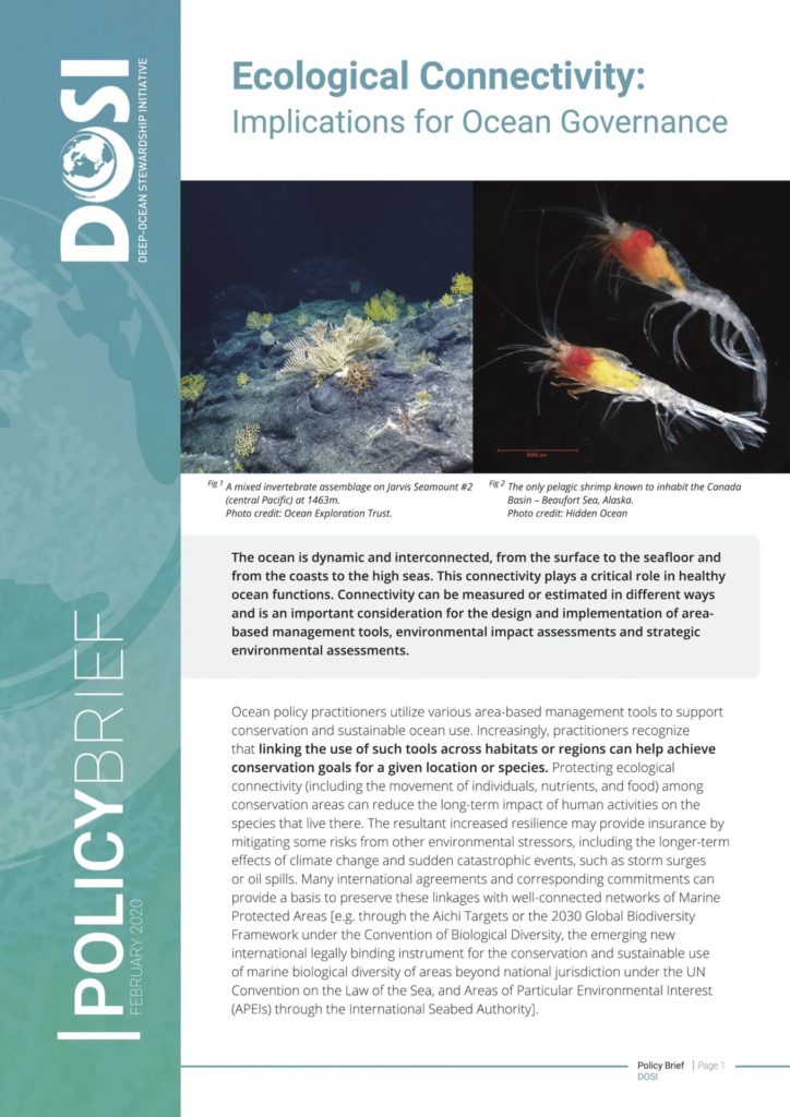 Detail Policy Brief Design Template Nomer 24
