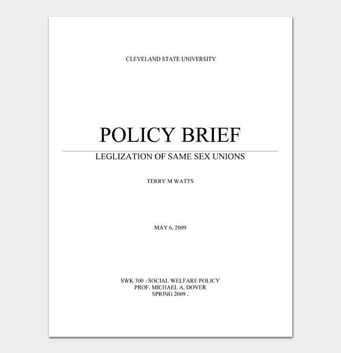 Detail Policy Brief Design Template Nomer 32