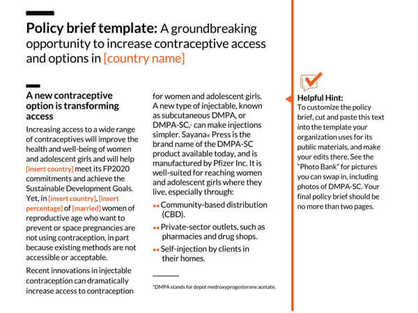 Detail Policy Brief Template Nomer 31