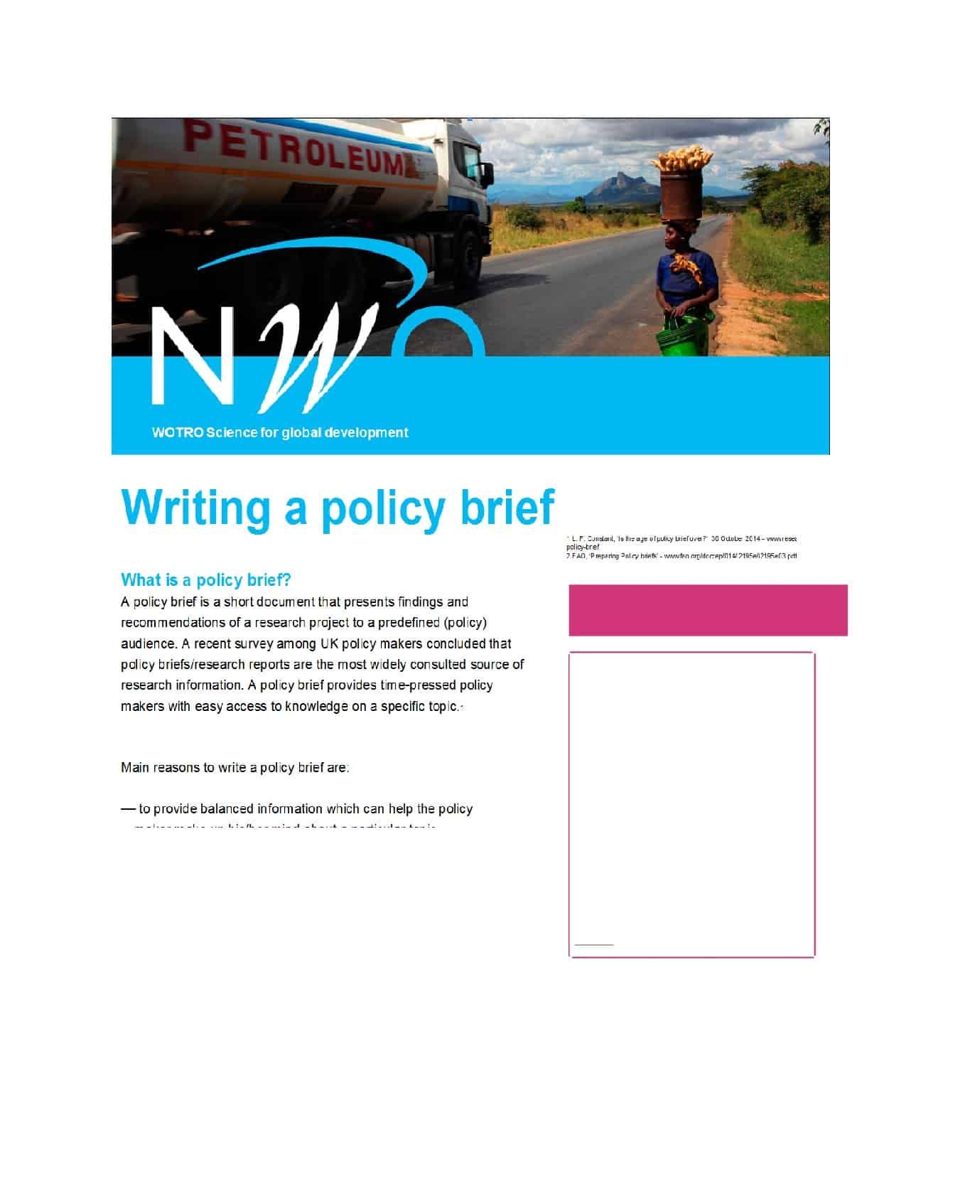 Detail Policy Brief Template Nomer 39