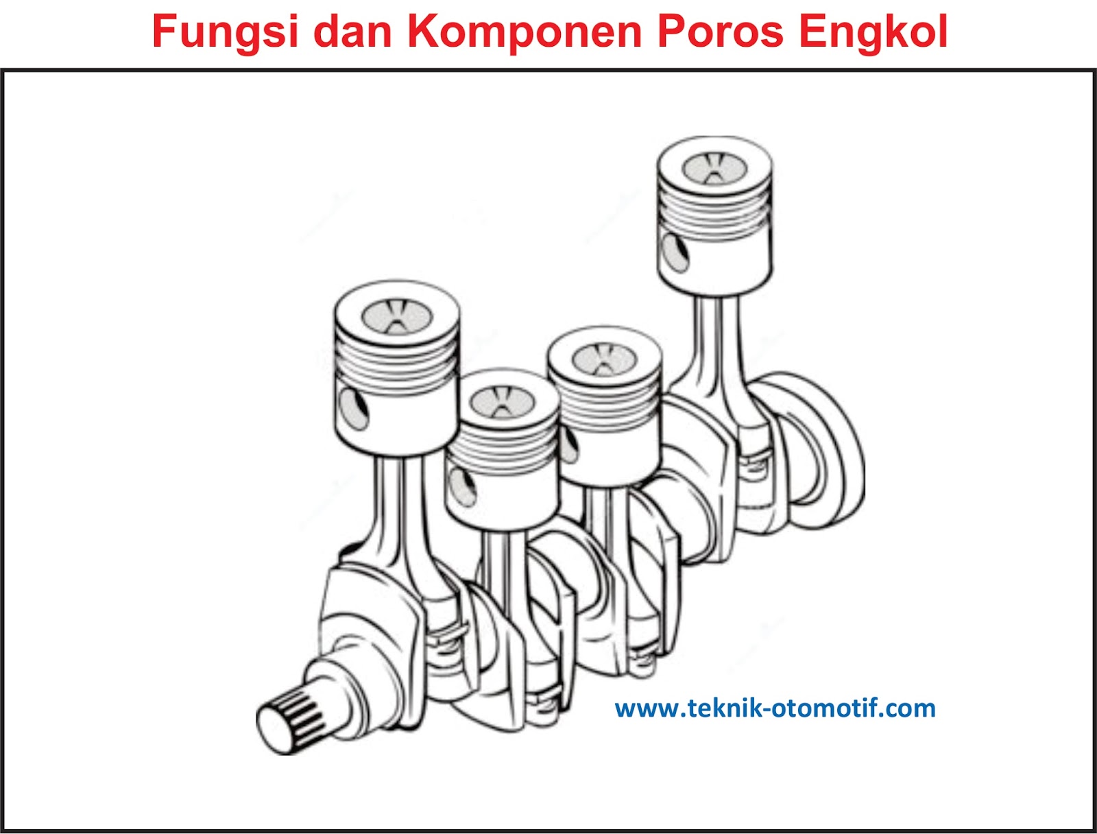 Detail Poros Engkol Adalah Nomer 24