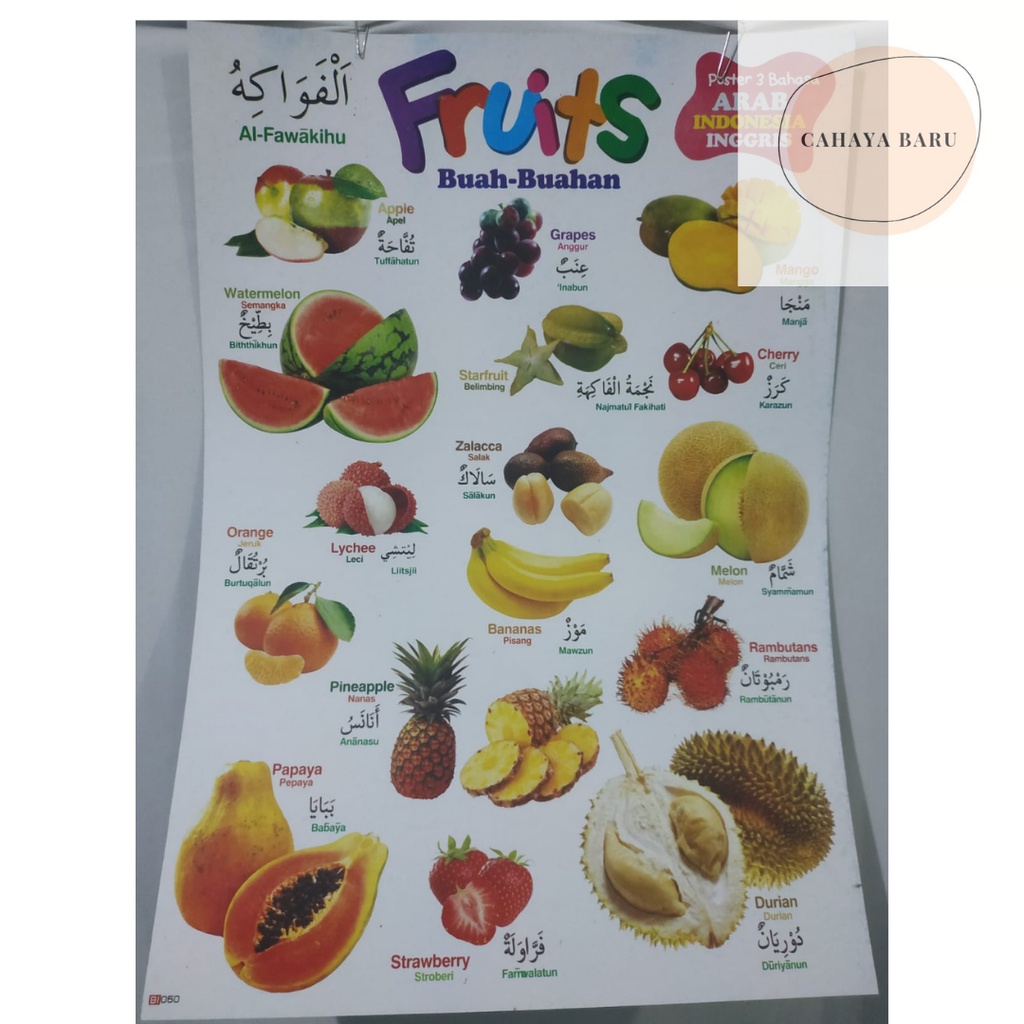 Detail Poster Gambar Buah Bahasa Arab Nomer 41