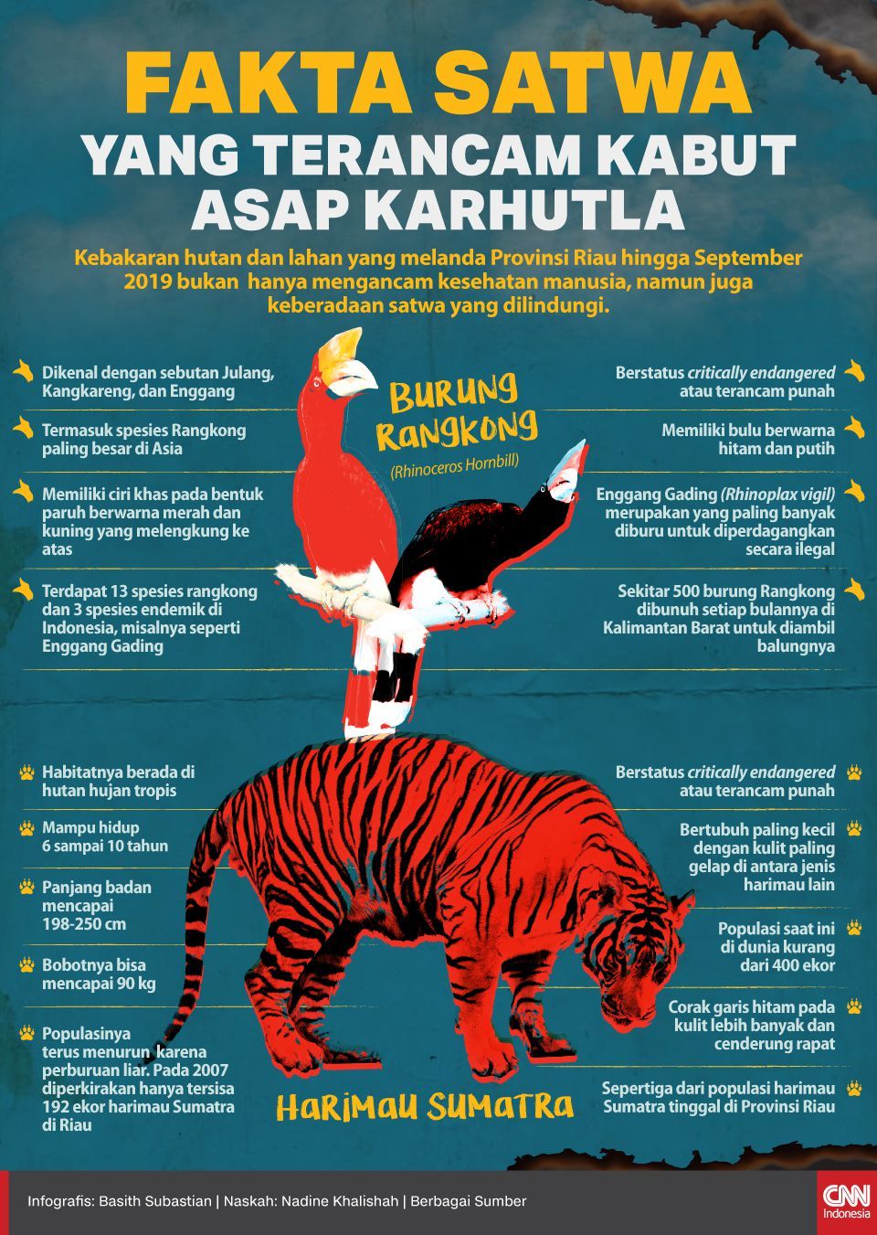 Detail Poster Penebangan Hutan Secara Liar Nomer 13