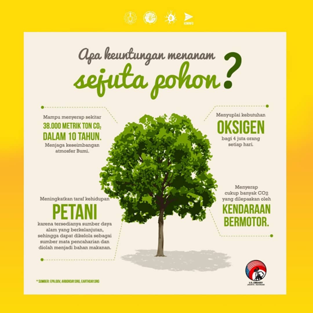 Detail Poster Penebangan Hutan Secara Liar Nomer 17