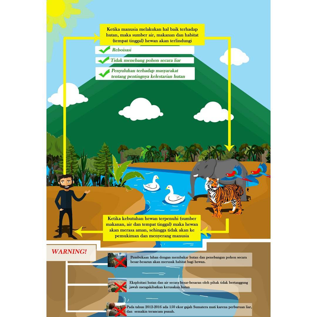 Detail Poster Penebangan Hutan Secara Liar Nomer 5