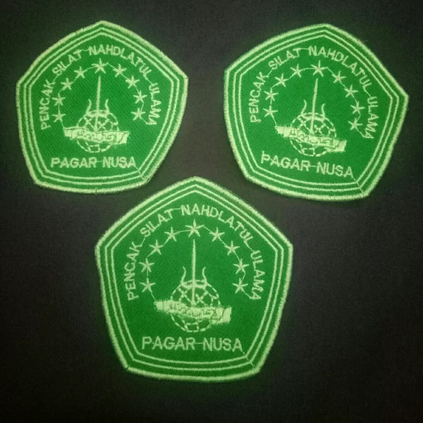 Detail Download Logo Pencak Silat Pagarnusa Nomer 35