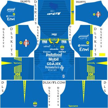 Detail Download Logo Persib Bandung Dls 2019 Nomer 5