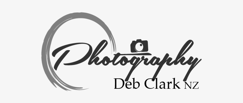 Detail Download Logo Photography Png Nomer 35