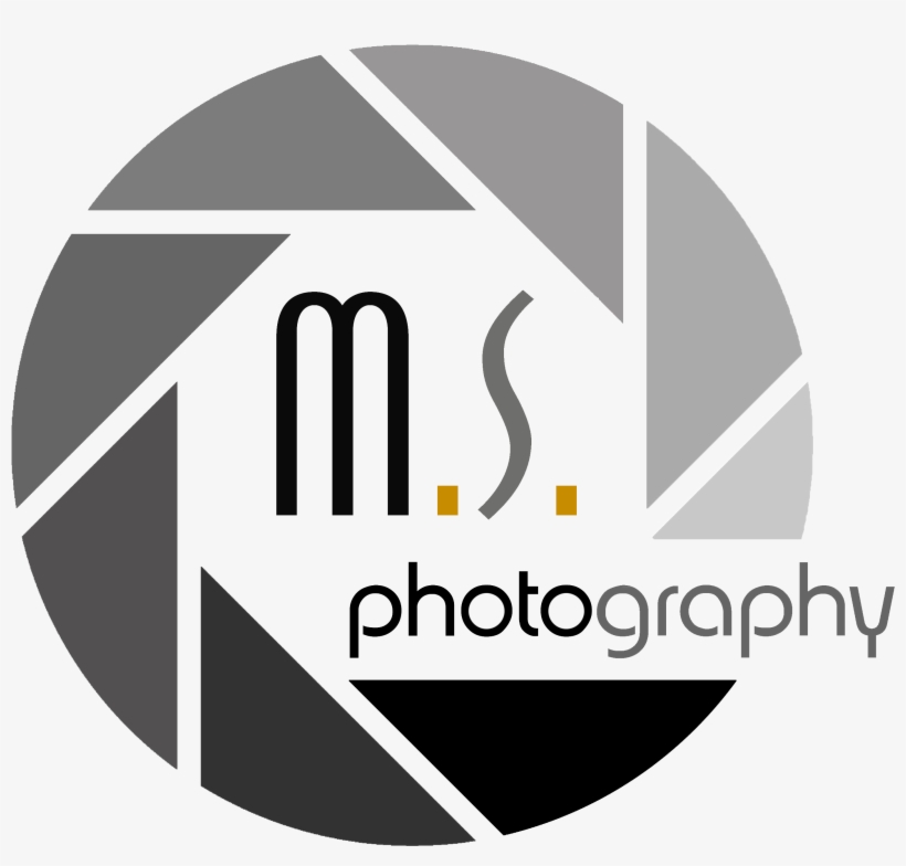 Detail Download Logo Photography Png Nomer 39