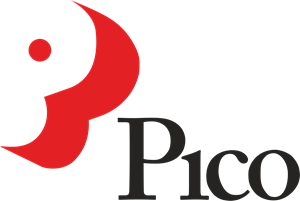Download Logo Pico - KibrisPDR