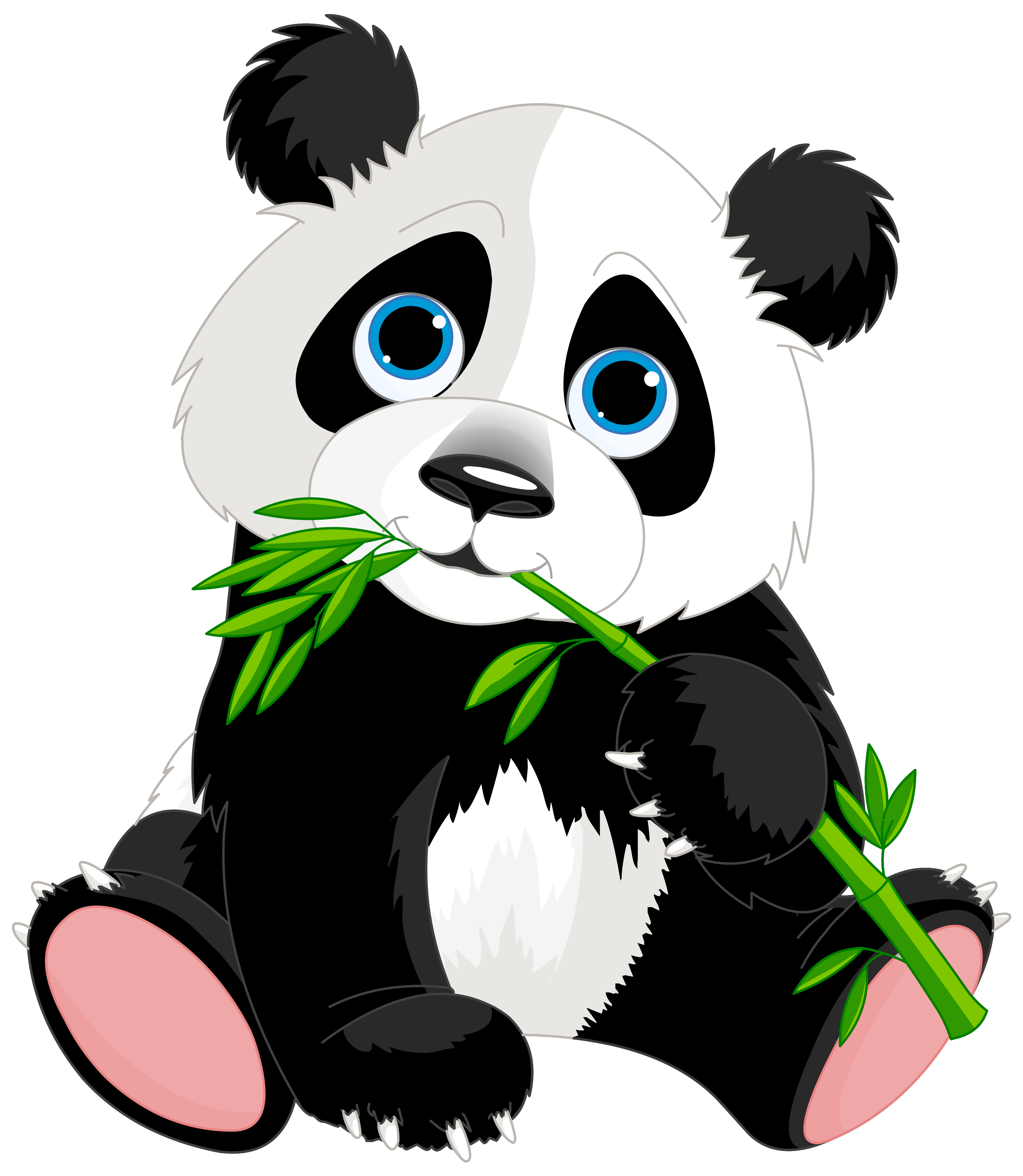 Panda Zeichentrick - KibrisPDR