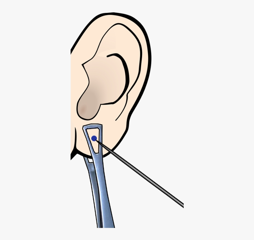 Piercing Bilder - KibrisPDR