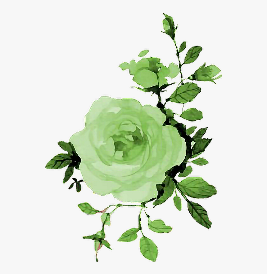 Detail Rosa Wallpaper Nomer 2