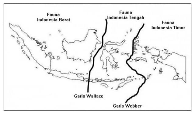 Detail Power Point Terbentuknya Kepulauaan Indonesia Dan Gambar Nomer 34