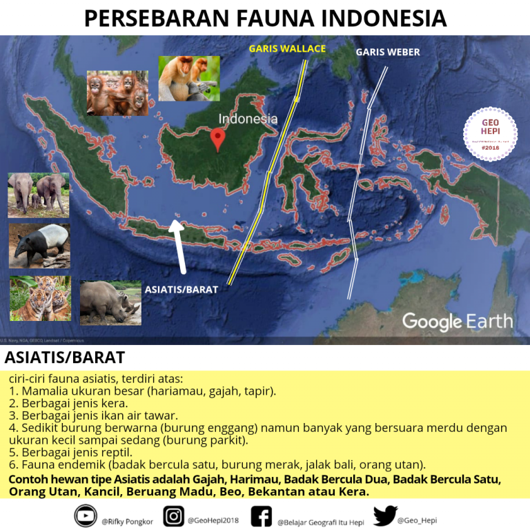 Detail Power Point Terbentuknya Kepulauaan Indonesia Dan Gambar Nomer 48
