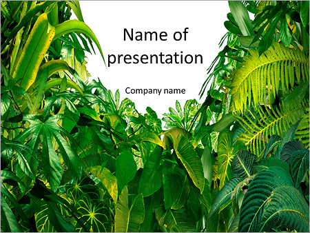 Detail Powerpoint Jungle Template Nomer 11