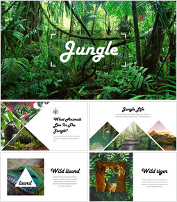 Detail Powerpoint Jungle Template Nomer 13