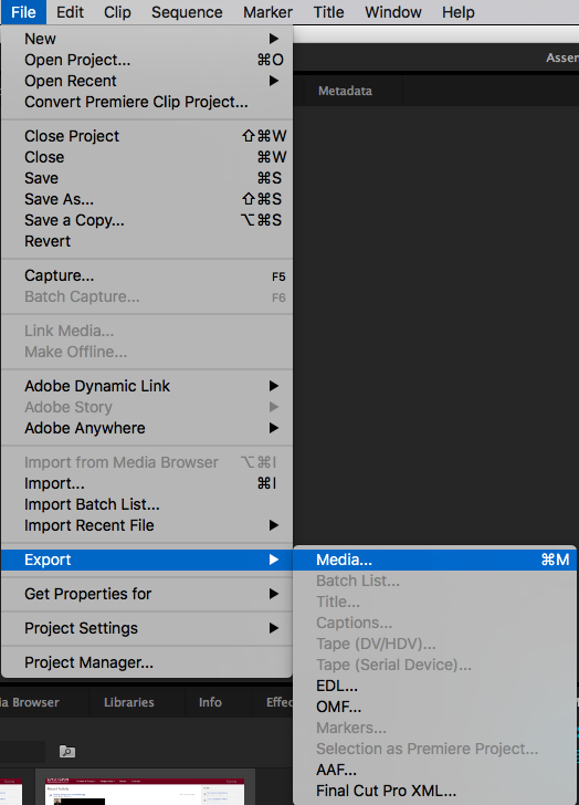 Detail Premiere Pro Name Bar Template Nomer 39