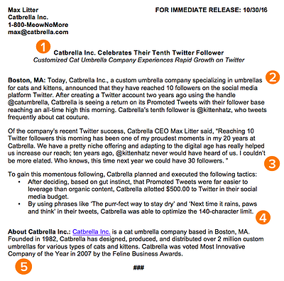 Detail Press Release Template Nomer 4