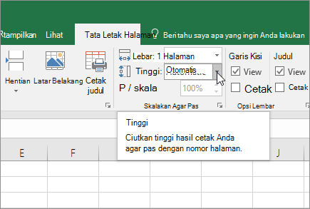 Detail Print Gambar Di Excel Tidak Sesuai Kolom Nomer 20