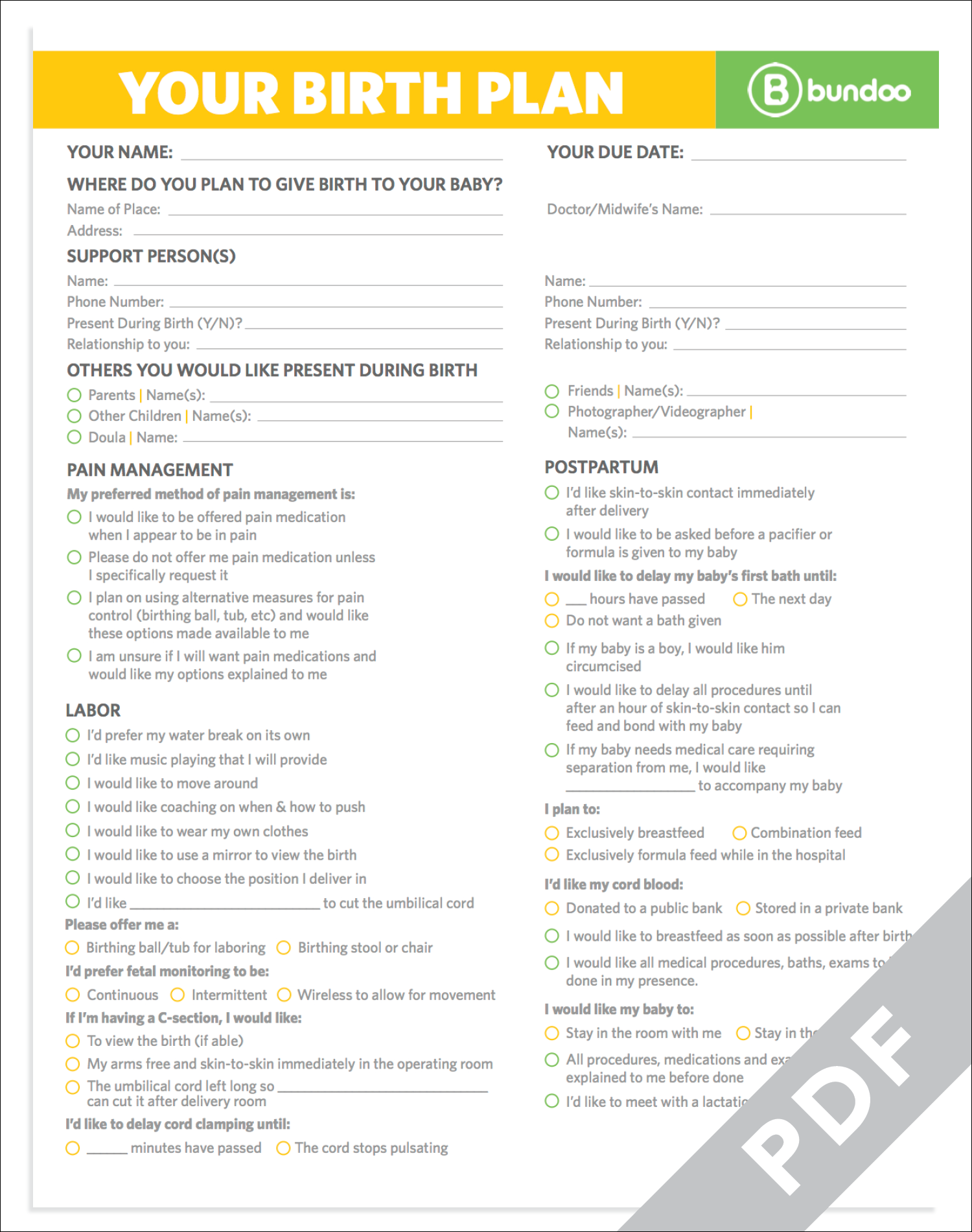 Detail Printable Birth Plan Template Nomer 8