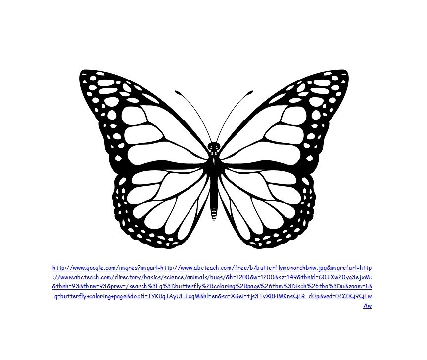 Detail Printable Cut Out Butterfly Template Nomer 20