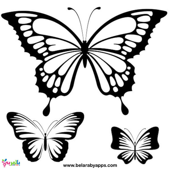 Detail Printable Cut Out Butterfly Template Nomer 22