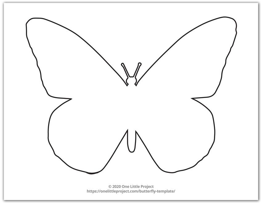 Detail Printable Cut Out Butterfly Template Nomer 38