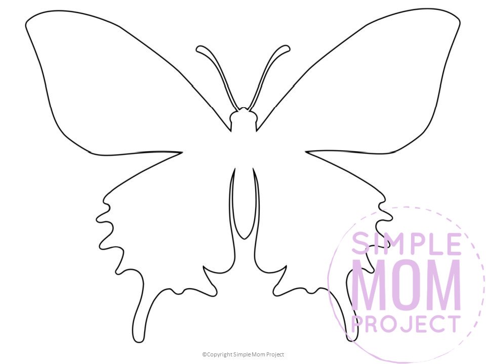 Detail Printable Cut Out Butterfly Template Nomer 51