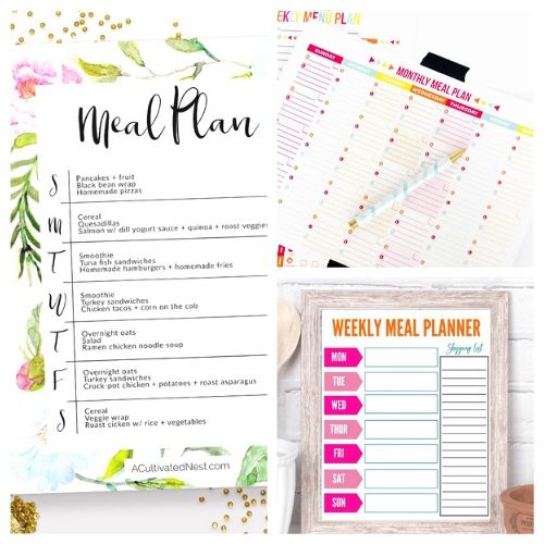 Detail Printable Monthly Meal Planner Template Nomer 21