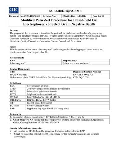 Detail Procedure Template Examples Nomer 20